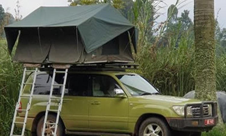 Akagera Car Rental Rates. Self-Drive Safari Rwanda – 4x4 Kigali Pop Rooftop Car hire Rwanda Car Rental Company Toyota TXL Prado rental, Toyota Land Cruiser 4x4, SafariKigali rental van, Rwanda Rental SUV Car, Affordable 4x4 Rental Rwanda - Best Value Safari Vehicles Reasons for hiring a car with a rooftop tent.