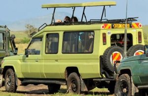 Rent a Car Rwanda Kigali, Rent a Car Rwanda affordable, Kigali Rooftop Tent Hire, Rwanda 4x4 Insurance Specs, Car Hire Rwanda options, Kigali Car Hire Liability, Rwanda SUV Rental Perks, Kigali Car Hire Wisdom, Rwanda 4x4 Rental Support, Rwanda SUV Rental Fairness, Kigali Car Hire Agility, Rwamagana 4x4 Hire Rates, Rwanda 4x4 Rental Hacks, Rwanda SUV Hire Comparison, Rwanda 4x4 Booking Costs, Kigali Car Hire Value, Kigali SUV Hire Budget, Kigali Cheap Car Hire, Rwanda AWD Handling Tips, Rwanda AWD SUV Clearance, Kigali Car Rental: Tourist Car Hire for Rwandan National Park Hikes Kigali Business Hire Car, Toyota Land Cruiser VX, Toyota RAV4 Hire Rwanda, V8 Toyota Land Cruiser, Minibus 4x4 Hire Kigali, Safari Car Rental Rwanda: Best rugged 4WD Car hire in Kigali Self-Drive SUV Rental Kigali – 4x4 Rwanda Car rental Guide 4x4 Safari car Rental Rwanda Road Permits Rwanda, Multi Seat Rwanda, Flight Connect Rwanda, Terminal Hire Rwanda, Business Hire Rwanda, Smart Travel Rwanda, Jungle Wheels Rwanda, Car with hire driver, Rwanda car hire 2026, Rwanda safari car rental, Toyota Prado hire Rwanda, Own Land in Rwanda, Rwanda 4x4 safari car, Kigali car 4x4 rental , Rwanda safari self drive, Rwanda Car hire agency, Best car hire Kigali, car rental Kigali, Car hire kigali 4x4, Toyota Coaster bus hire, Rwanda Self-drive car, Student Travel Car Rwanda, Nyungwe Forest Car Rwanda , Departure Transfer Car Rwanda, Adventure Car Hire Rwanda, Chauffeur Car Hire Rwanda, Car Hire Rwanda Direction, Scheduling Car Hire Rwanda, Rwanda Car Rental Guidance, Kigali Car Rental Mapping, Rwanda Car Rental Survey, Kigali Car Rental Assessment, Kigali Car Rental Consultation, Car Rental Rwanda Navigation, Kigali Car Rental Briefing, Car Rental Rwanda Handbook, Group 1: Monthly Lease, NGO & Expat Focus (1-50) 1. Kigali Monthly Car Rental: Best NGO vehicle lease in Rwanda 2026 2. Rwanda Monthly SUV Hire: Best NGO vehicle rental in Kigali 2026 3. Kigali NGO Car Rental: Best monthly SUV lease in Rwanda for 2026 4. Rwanda NGO SUV Hire: Best monthly car lease in Kigali for 2026 5. Kigali Expat SUV Rental: Best monthly car hire in Rwanda for 2026 6. Rwanda Expat Car Hire: Best monthly SUV rental in Kigali for 2026 7. Kigali Business SUV Hire: Best corporate car rental in Rwanda 8. Rwanda Business Car Hire: Best corporate SUV rental in Kigali 9. Kigali Corporate SUV Hire: Best business car rental in Rwanda 10. Rwanda Corporate Car Hire: Best business SUV rental in Kigali 11. Kigali Long Term Rental: Best monthly SUV lease in Rwanda 2026 12. Rwanda Long Term Hire: Best monthly SUV rental in Kigali 2026 13. Kigali Monthly SUV Lease: Best NGO vehicle hire in Rwanda 2026 14. Rwanda Monthly SUV Rental: Best NGO vehicle hire in Kigali 2026 15. Kigali Expat Car Rental: Best monthly SUV lease in Rwanda 2026 16. Rwanda Expat SUV Hire: Best monthly car lease for Kigali NGO 17. Kigali Monthly Car Hire: Best NGO vehicle lease in Rwanda 2026 18. Rwanda Monthly SUV Hire: Best NGO vehicle rental in Kigali 2026 19. Kigali NGO SUV Rental: Best monthly car hire in Rwanda for 2026 20. Rwanda NGO Car Hire: Best monthly SUV rental in Kigali for 2026 21. Kigali Expat SUV Hire: Best monthly car rental in Rwanda for 2026 22. Rwanda Expat SUV Rental: Best monthly car hire in Kigali for 2026 23. Kigali Business Car Hire: Best corporate SUV rental in Rwanda 24. Rwanda Business SUV Hire: Best corporate car rental in Kigali 25. Kigali Corporate Car Hire: Best business SUV rental in Rwanda 26. Rwanda Corporate SUV Hire: Best business car rental in Kigali 27. Kigali Long Term Hire: Best monthly SUV rental in Rwanda 2026 28. Rwanda Long Term Rental: Best monthly SUV lease in Kigali 2026 29. Kigali Monthly SUV Hire: Best NGO vehicle lease in Rwanda 2026 30. Rwanda Monthly Car Lease: Best NGO vehicle rental in Kigali 2026 31. Kigali NGO Car Hire: Best monthly SUV rental in Rwanda for 2026 32. Rwanda NGO SUV Rental: Best monthly car hire in Kigali for 2026 33. Kigali Expat Car Hire: Best monthly SUV rental in Rwanda for 2026 34. Rwanda Expat SUV Hire: Best monthly car rental in Kigali for 2026 35. Kigali Business SUV Rental: Best corporate car hire in Rwanda 36. Rwanda Business SUV Rental: Best corporate car hire in Kigali 37. Kigali Corporate SUV Rental: Best business car hire in Rwanda 38. Rwanda Corporate SUV Rental: Best business car hire in Kigali 39. Kigali Long Term Lease: Best monthly SUV rental in Rwanda 2026 40. Rwanda Long Term Lease: Best monthly SUV rental in Kigali 2026 41. Kigali Monthly Car Rental: Best NGO vehicle lease in Rwanda 2026 42. Rwanda Monthly SUV Hire: Best NGO vehicle rental in Kigali 2026 43. Kigali NGO Car Rental: Best monthly SUV lease in Rwanda for 2026 44. Rwanda NGO SUV Hire: Best monthly car lease in Kigali for 2026 45. Kigali Expat SUV Rental: Best monthly car hire in Rwanda for 2026 46. Rwanda Expat Car Hire: Best monthly SUV rental in Kigali for 2026 47. Kigali Business SUV Hire: Best corporate car rental in Rwanda 48. Rwanda Business Car Hire: Best corporate SUV rental in Kigali 49. Kigali Corporate SUV Hire: Best business car rental in Rwanda 50. Rwanda Corporate Car Hire: Best business SUV rental in Kigali Group 2: Airport Transfers & Luxury Services (51-100) 1. Kigali Airport Car Rental: Best luxury SUV transfer in Rwanda 2. Rwanda Airport Car Hire: Best luxury SUV transfer in Kigali 3. Kigali Airport SUV Transfer: Best luxury car hire in Rwanda 4. Rwanda Airport SUV Hire: Best luxury car transfer in Kigali 5. Kigali Airport Car Hire: Best premium SUV transfer in Rwanda 6. Rwanda Airport SUV Rental: Best premium car hire in Kigali 2026 7. Kigali Luxury Car Rental: Best premium SUV transfer in Rwanda 8. Rwanda Luxury SUV Hire: Best premium car rental in Kigali 2026 9. Kigali Luxury SUV Transfer: Best premium car hire in Rwanda 2026 10. Rwanda Premium Car Hire: Best luxury SUV rental in Kigali 2026 11. Kigali Premium SUV Rental: Best luxury car hire in Rwanda 2026 12. Rwanda Premium SUV Hire: Best luxury car rental in Kigali 2026 13. Kigali Airport SUV Rental: Best luxury car transfer in Rwanda 14. Rwanda Airport Car Rental: Best luxury SUV transfer in Kigali 15. Kigali Airport SUV Transfer: Best luxury car hire in Rwanda 16. Rwanda Airport SUV Hire: Best luxury car transfer in Kigali 17. Kigali Airport Car Hire: Best premium SUV transfer in Rwanda 18. Rwanda Airport SUV Rental: Best premium car hire in Kigali 2026 19. Kigali Luxury Car Rental: Best premium SUV transfer in Rwanda 20. Rwanda Luxury SUV Hire: Best premium car rental in Kigali 2026 21. Kigali Luxury SUV Transfer: Best premium car hire in Rwanda 2026 22. Rwanda Premium Car Hire: Best luxury SUV rental in Kigali 2026 23. Kigali Premium SUV Rental: Best luxury car hire in Rwanda 2026 24. Rwanda Premium SUV Hire: Best luxury car rental in Kigali 2026 25. Kigali Airport SUV Rental: Best luxury car transfer in Rwanda 26. Rwanda Airport Car Rental: Best luxury SUV transfer in Kigali 27. Kigali Airport SUV Transfer: Best luxury car hire in Rwanda 28. Rwanda Airport SUV Hire: Best luxury car transfer in Kigali 29. Kigali Airport Car Hire: Best premium SUV transfer in Rwanda 30. Rwanda Airport SUV Rental: Best premium car hire in Kigali 2026 31. Kigali Luxury Car Rental: Best premium SUV transfer in Rwanda 32. Rwanda Luxury SUV Hire: Best premium car rental in Kigali 2026 33. Kigali Luxury SUV Transfer: Best premium car hire in Rwanda 2026 34. Rwanda Premium Car Hire: Best luxury SUV rental in Kigali 2026 35. Kigali Premium SUV Rental: Best luxury car hire in Rwanda 2026 36. Rwanda Premium SUV Hire: Best luxury car rental in Kigali 2026 37. Kigali Airport SUV Rental: Best luxury car transfer in Rwanda 38. Rwanda Airport Car Rental: Best luxury SUV transfer in Kigali 39. Kigali Airport SUV Transfer: Best luxury car hire in Rwanda 40. Rwanda Airport SUV Hire: Best luxury car transfer in Kigali 41. Kigali Airport Car Hire: Best premium SUV transfer in Rwanda 42. Rwanda Airport SUV Rental: Best premium car hire in Kigali 2026 43. Kigali Luxury Car Rental: Best premium SUV transfer in Rwanda 44. Rwanda Luxury SUV Hire: Best premium car rental in Kigali 2026 45. Kigali Luxury SUV Transfer: Best premium car hire in Rwanda 2026 46. Rwanda Premium Car Hire: Best luxury SUV rental in Kigali 2026 47. Kigali Premium SUV Rental: Best luxury car hire in Rwanda 2026 48. Rwanda Premium SUV Hire: Best luxury car rental in Kigali 2026 49. Kigali Airport SUV Rental: Best luxury car transfer in Rwanda 50. Rwanda Airport Car Rental: Best luxury SUV transfer in Kigali 51. Group 3: Specific Toyota & SUV Models (101-150) 52. Kigali Toyota Prado Hire: Best 4x4 safari rental in Rwanda 2026 53. Rwanda Toyota Prado Rental: Best 4x4 safari hire in Kigali 2026 54. Kigali Toyota RAV4 Hire: Best cheap SUV rental in Rwanda 2026 55. Rwanda Toyota RAV4 Rental: Best cheap SUV hire in Kigali 2026 56. Kigali Toyota V8 Rental: Luxury 4x4 safari car hire in Rwanda 57. Rwanda Toyota V8 Hire: Luxury 4x4 safari car rental in Kigali 58. Kigali Toyota Fortuner Hire: Best 4x4 SUV rental in Rwanda 2026 59. Rwanda Toyota Fortuner Rental: Best 4x4 SUV hire in Kigali 2026 60. Kigali Toyota Venza Hire: Best family SUV rental in Rwanda 2026 61. Rwanda Toyota Venza Rental: Best family SUV hire in Kigali 2026 62. Kigali Toyota Sienna Hire: Best family minivan rental in Rwanda 63. Rwanda Toyota Sienna Rental: Best family minivan hire in Kigali 64. Kigali Toyota Harrier Hire: Best 4x4 SUV rental in Rwanda 2026 65. Rwanda Toyota Harrier Rental: Best 4x4 SUV hire in Kigali 2026 66. Kigali Toyota TXL Hire: Best luxury 4x4 rental in Rwanda 2026 67. Rwanda Toyota TXL Rental: Best luxury 4x4 hire in Kigali 2026 68. Kigali Nissan Patrol Hire: Best 4x4 safari rental in Rwanda 2026 69. Rwanda Nissan Patrol Rental: Best 4x4 safari hire in Kigali 2026 70. Kigali Land Cruiser Hire: Best safari SUV rental in Rwanda 2026 71. Rwanda Land Cruiser Rental: Best safari SUV hire in Kigali 2026 72. Kigali Toyota Prado Hire: Best 4x4 safari rental in Rwanda 2026 73. Rwanda Toyota Prado Rental: Best 4x4 safari hire in Kigali 2026 74. Kigali Toyota RAV4 Hire: Best cheap SUV rental in Rwanda 2026 75. Rwanda Toyota RAV4 Rental: Best cheap SUV hire in Kigali 2026 76. Kigali Toyota V8 Rental: Luxury 4x4 safari car hire in Rwanda 77. Rwanda Toyota V8 Hire: Luxury 4x4 safari car rental in Kigali 78. Kigali Toyota Fortuner Hire: Best 4x4 SUV rental in Rwanda 2026 79. Rwanda Toyota Fortuner Rental: Best 4x4 SUV hire in Kigali 2026 80. Kigali Toyota Venza Hire: Best family SUV rental in Rwanda 2026 81. Rwanda Toyota Venza Rental: Best family SUV hire in Kigali 2026 82. Kigali Toyota Sienna Hire: Best family minivan rental in Rwanda 83. Rwanda Toyota Sienna Rental: Best family minivan hire in Kigali 84. Kigali Toyota Harrier Hire: Best 4x4 SUV rental in Rwanda 2026 85. Rwanda Toyota Harrier Rental: Best 4x4 SUV hire in Kigali 2026 86. Kigali Toyota TXL Hire: Best luxury 4x4 rental in Rwanda 2026 87. Rwanda Toyota TXL Rental: Best luxury 4x4 hire in Kigali 2026 88. Kigali Nissan Patrol Hire: Best 4x4 safari rental in Rwanda 2026 89. Rwanda Nissan Patrol Rental: Best 4x4 safari hire in Kigali 2026 90. Kigali Land Cruiser Hire: Best safari SUV rental in Rwanda 2026 91. Rwanda Land Cruiser Rental: Best safari SUV hire in Kigali 2026 92. Kigali Toyota Prado Hire: Best 4x4 safari rental in Rwanda 2026 93. Rwanda Toyota Prado Rental: Best 4x4 safari hire in Kigali 2026 94. Kigali Toyota RAV4 Hire: Best cheap SUV rental in Rwanda 2026 95. Rwanda Toyota RAV4 Rental: Best cheap SUV hire in Kigali 2026 96. Kigali Toyota V8 Rental: Luxury 4x4 safari car hire in Rwanda 97. Rwanda Toyota V8 Hire: Luxury 4x4 safari car rental in Kigali 98. Kigali Toyota Fortuner Hire: Best 4x4 SUV rental in Rwanda 2026 99. Rwanda Toyota Fortuner Rental: Best 4x4 SUV hire in Kigali 2026 100. Kigali Toyota Venza Hire: Best family SUV rental in Rwanda 2026 101. Rwanda Toyota Venza Rental: Best family SUV hire in Kigali 2026 Group 4: Chauffeur, Driver & National Park Routes (151-225) 1. Kigali Chauffeur Car Hire: Best professional driver in Rwanda 2. Rwanda Chauffeur Car Rental: Best professional driver in Kigali 3. Kigali Car Hire Driver: Best professional safari guide in Rwanda 4. Rwanda Car Rental Driver: Best professional safari guide in Kigali 5. Kigali Akagera SUV Hire: Best 4x4 safari rental in Rwanda 2026 6. Rwanda Akagera SUV Rental: Best 4x4 safari hire in Kigali 2026 7. Kigali Nyungwe SUV Hire: Best 4x4 safari rental in Rwanda 2026 8. Rwanda Nyungwe SUV Rental: Best 4x4 safari hire in Kigali 2026 9. Kigali Volcano SUV Hire: Best 4x4 safari rental in Rwanda 2026 10. Rwanda Volcano SUV Rental: Best 4x4 safari hire in Kigali 2026 11. Kigali Lake Kivu Hire: Best SUV road trip rental in Rwanda 2026 12. Rwanda Lake Kivu Rental: Best SUV road trip hire in Kigali 2026 13. Kigali Chauffeur Car Hire: Best professional driver in Rwanda 14. Rwanda Chauffeur Car Rental: Best professional driver in Kigali 15. Kigali Car Hire Driver: Best professional safari guide in Rwanda 16. Rwanda Car Rental Driver: Best professional safari guide in Kigali 17. Kigali Akagera SUV Hire: Best 4x4 safari rental in Rwanda 2026 18. Rwanda Akagera SUV Rental: Best 4x4 safari hire in Kigali 2026 19. Kigali Nyungwe SUV Hire: Best 4x4 safari rental in Rwanda 2026 20. Rwanda Nyungwe SUV Rental: Best 4x4 safari hire in Kigali 2026 21. Kigali Volcano SUV Hire: Best 4x4 safari rental in Rwanda 2026 22. Rwanda Volcano SUV Rental: Best 4x4 safari hire in Kigali 2026 23. Kigali Lake Kivu Hire: Best SUV road trip rental in Rwanda 2026 24. Rwanda Lake Kivu Rental: Best SUV road trip hire in Kigali 2026 25. Kigali Chauffeur Car Hire: Best professional driver in Rwanda 26. Rwanda Chauffeur Car Rental: Best professional driver in Kigali 27. Kigali Car Hire Driver: Best professional safari guide in Rwanda 28. Rwanda Car Rental Driver: Best professional safari guide in Kigali 29. Kigali Akagera SUV Hire: Best 4x4 safari rental in Rwanda 2026 30. Rwanda Akagera SUV Rental: Best 4x4 safari hire in Kigali 2026 31. Kigali Nyungwe SUV Hire: Best 4x4 safari rental in Rwanda 2026 32. Rwanda Nyungwe SUV Rental: Best 4x4 safari hire in Kigali 2026 33. Kigali Volcano SUV Hire: Best 4x4 safari rental in Rwanda 2026 34. Rwanda Volcano SUV Rental: Best 4x4 safari hire in Kigali 2026 35. Kigali Lake Kivu Hire: Best SUV road trip rental in Rwanda 2026 36. Rwanda Lake Kivu Rental: Best SUV road trip hire in Kigali 2026 37. Kigali Chauffeur Car Hire: Best professional driver in Rwanda 38. Rwanda Chauffeur Car Rental: Best professional driver in Kigali 39. Kigali Car Hire Driver: Best professional safari guide in Rwanda 40. Rwanda Car Rental Driver: Best professional safari guide in Kigali 41. Kigali Akagera SUV Hire: Best 4x4 safari rental in Rwanda 2026 42. Rwanda Akagera SUV Rental: Best 4x4 safari hire in Kigali 2026 43. Kigali Nyungwe SUV Hire: Best 4x4 safari rental in Rwanda 2026 44. Rwanda Nyungwe SUV Rental: Best 4x4 safari hire in Kigali 2026 45. Kigali Volcano SUV Hire: Best 4x4 safari rental in Rwanda 2026 46. Rwanda Volcano SUV Rental: Best 4x4 safari hire in Kigali 2026 47. Kigali Lake Kivu Hire: Best SUV road trip rental in Rwanda 2026 48. Rwanda Lake Kivu Rental: Best SUV road trip hire in Kigali 2026 49. Kigali Chauffeur Car Hire: Best professional driver in Rwanda 50. Rwanda Chauffeur Car Rental: Best professional driver in Kigali 51. Kigali Car Hire Driver: Best professional safari guide in Rwanda 52. Rwanda Car Rental Driver: Best professional safari guide in Kigali 53. Kigali Akagera SUV Hire: Best 4x4 safari rental in Rwanda 2026 54. Rwanda Akagera SUV Rental: Best 4x4 safari hire in Kigali 2026 55. Kigali Nyungwe SUV Hire: Best 4x4 safari rental in Rwanda 2026 56. Rwanda Nyungwe SUV Rental: Best 4x4 safari hire in Kigali 2026 57. Kigali Volcano SUV Hire: Best 4x4 safari rental in Rwanda 2026 58. Rwanda Volcano SUV Rental: Best 4x4 safari hire in Kigali 2026 59. Kigali Lake Kivu Hire: Best SUV road trip rental in Rwanda 2026 60. Rwanda Lake Kivu Rental: Best SUV road trip hire in Kigali 2026 61. Kigali Chauffeur Car Hire: Best professional driver in Rwanda 62. Rwanda Chauffeur Car Rental: Best professional driver in Kigali 63. Kigali Car Hire Driver: Best professional safari guide in Rwanda 64. Rwanda Car Rental Driver: Best professional safari guide in Kigali 65. Kigali Akagera SUV Hire: Best 4x4 safari rental in Rwanda 2026 66. Rwanda Akagera SUV Rental: Best 4x4 safari hire in Kigali 2026 67. Kigali Nyungwe SUV Hire: Best 4x4 safari rental in Rwanda 2026 68. Rwanda Nyungwe SUV Rental: Best 4x4 safari hire in Kigali 2026 69. Kigali Volcano SUV Hire: Best 4x4 safari rental in Rwanda 2026 70. Rwanda Volcano SUV Rental: Best 4x4 safari hire in Kigali 2026 71. Kigali Lake Kivu Hire: Best SUV road trip rental in Rwanda 2026 72. Rwanda Lake Kivu Rental: Best SUV road trip hire in Kigali 2026 73. Kigali Chauffeur Car Hire: Best professional driver in Rwanda 74. Rwanda Chauffeur Car Rental: Best professional driver in Kigali 75. Kigali Car Hire Driver: Best professional safari guide in Rwanda Group 5: Wedding, Camping & Cross-Border (226-300) 76. Kigali Wedding Car Hire: Luxury SUV rental for events in Rwanda 77. Rwanda Wedding Car Rental: Luxury SUV hire for events in Kigali 78. Kigali 4x4 Camping Hire: Best SUV with rooftop tent in Rwanda 79. Rwanda 4x4 Camping Rental: Best SUV with rooftop tent in Kigali 80. Kigali Rooftop Tent Hire: Best 4x4 camping rental in Rwanda 2026 81. Rwanda Rooftop Tent Rental: Best 4x4 camping hire in Kigali 2026 82. Kigali Cross Border Hire: Best 4x4 for Uganda tours in Rwanda 83. Rwanda Cross Border Rental: Best 4x4 for Uganda tours in Kigali 84. Kigali Uganda Car Hire: Best 4x4 safari rental for cross border 85. Rwanda Uganda Car Rental: Best 4x4 safari hire for cross border 86. Kigali Budget SUV Hire: Best cheap 4x4 car rental in Rwanda 2026 87. Rwanda Budget SUV Rental: Best cheap 4x4 car hire in Kigali 2026 88. Kigali Coaster Bus Hire: Best group transport in Rwanda for 2026 89. Rwanda Coaster Bus Rental: Best group transport in Kigali for 2026 90. Kigali Safari Van Hire: Best minibus for group tours in Rwanda 91. Rwanda Safari Van Rental: Best minibus for group tours in Kigali 92. Kigali Wedding Car Hire: Luxury SUV rental for events in Rwanda 93. Rwanda Wedding Car Rental: Luxury SUV hire for events in Kigali 94. Kigali 4x4 Camping Hire: Best SUV with rooftop tent in Rwanda 95. Rwanda 4x4 Camping Rental: Best SUV with rooftop tent in Kigali 96. Kigali Rooftop Tent Hire: Best 4x4 camping rental in Rwanda 2026 97. Rwanda Rooftop Tent Rental: Best 4x4 camping hire in Kigali 2026 98. Kigali Cross Border Hire: Best 4x4 for Uganda tours in Rwanda 99. Rwanda Cross Border Rental: Best 4x4 for Uganda tours in Kigali 100. Kigali Uganda Car Hire: Best 4x4 safari rental for cross border 101. Rwanda Uganda Car Rental: Best 4x4 safari hire for cross border 102. Kigali Budget SUV Hire: Best cheap 4x4 car rental in Rwanda 2026 103. Rwanda Budget SUV Rental: Best cheap 4x4 car hire in Kigali 2026 104. Kigali Coaster Bus Hire: Best group transport in Rwanda for 2026 105. Rwanda Coaster Bus Rental: Best group transport in Kigali for 2026 106. Kigali Safari Van Hire: Best minibus for group tours in Rwanda 107. Rwanda Safari Van Rental: Best minibus for group tours in Kigali 108. Kigali Wedding Car Hire: Luxury SUV rental for events in Rwanda 109. Rwanda Wedding Car Rental: Luxury SUV hire for events in Kigali 110. Kigali 4x4 Camping Hire: Best SUV with rooftop tent in Rwanda 111. Rwanda 4x4 Camping Rental: Best SUV with rooftop tent in Kigali 112. Kigali Rooftop Tent Hire: Best 4x4 camping rental in Rwanda 2026 113. Rwanda Rooftop Tent Rental: Best 4x4 camping hire in Kigali 2026 114. Kigali Cross Border Hire: Best 4x4 for Uganda tours in Rwanda 115. Rwanda Cross Border Rental: Best 4x4 for Uganda tours in Kigali 116. Kigali Uganda Car Hire: Best 4x4 safari rental for cross border 117. Rwanda Uganda Car Rental: Best 4x4 safari hire for cross border 118. Kigali Budget SUV Hire: Best cheap 4x4 car rental in Rwanda 2026 119. Rwanda Budget SUV Rental: Best cheap 4x4 car hire in Kigali 2026 120. Kigali Coaster Bus Hire: Best group transport in Rwanda for 2026 121. Rwanda Coaster Bus Rental: Best group transport in Kigali for 2026 122. Kigali Safari Van Hire: Best minibus for group tours in Rwanda 123. Rwanda Safari Van Rental: Best minibus for group tours in Kigali 124. Kigali Wedding Car Hire: Luxury SUV rental for events in Rwanda 125. Rwanda Wedding Car Rental: Luxury SUV hire for events in Kigali 126. Kigali 4x4 Camping Hire: Best SUV with rooftop tent in Rwanda 127. Rwanda 4x4 Camping Rental: Best SUV with rooftop tent in Kigali 128. Kigali Rooftop Tent Hire: Best 4x4 camping rental in Rwanda 2026 129. Rwanda Rooftop Tent Rental: Best 4x4 camping hire in Kigali 2026 130. Kigali Cross Border Hire: Best 4x4 for Uganda tours in Rwanda 131. Rwanda Cross Border Rental: Best 4x4 for Uganda tours in Kigali 132. Kigali Uganda Car Hire: Best 4x4 safari rental for cross border 133. Rwanda Uganda Car Rental: Best 4x4 safari hire for cross border 134. Kigali Budget SUV Hire: Best cheap 4x4 car rental in Rwanda 2026 135. Rwanda Budget SUV Rental: Best cheap 4x4 car hire in Kigali 2026 136. Kigali Coaster Bus Hire: Best group transport in Rwanda for 2026 137. Rwanda Coaster Bus Rental: Best group transport in Kigali for 2026 138. Kigali Safari Van Hire: Best minibus for group tours in Rwanda 139. Rwanda Safari Van Rental: Best minibus for group tours in Kigali 140. Kigali Wedding Car Hire: Luxury SUV rental for events in Rwanda 141. Rwanda Wedding Car Rental: Luxury SUV hire for events in Kigali 142. Kigali 4x4 Camping Hire: Best SUV with rooftop tent in Rwanda 143. Rwanda 4x4 Camping Rental: Best SUV with rooftop tent in Kigali 144. Kigali Rooftop Tent Hire: Best 4x4 camping rental in Rwanda 2026 145. Rwanda Rooftop Tent Rental: Best 4x4 camping hire in Kigali 2026 146. Kigali Cross Border Hire: Best 4x4 for Uganda tours in Rwanda 147. Rwanda Cross Border Rental: Best 4x4 for Uganda tours in Kigali 148. Kigali Uganda Car Hire: Best 4x4 safari rental for cross border 149. Rwanda Uganda Car Rental: Best 4x4 safari hire for cross border 150. Kigali Budget SUV Hire: Best cheap 4x4 car rental in Rwanda 2026 Kigali Monthly SUV Lease: Best NGO vehicle hire in Rwanda 2026 Car hire Rwanda: Best 4x4 self drive Car rental in Kigali 2026 Car rental in Rwanda Self-Drive Safari Rwanda: Kigali Park Rules & car rental in Rwanda Rwanda Short vs Long Term – Rwanda Car Rental Rate Analysis Premium Rwanda Safaris - Best 4x4 Land Cruiser Rentals Car rental in Rwanda: Best Kigali Self-Drive Options Car rental 4x4 Car Rental Rwanda – Best Deals for Gorilla Trekking Self Drive Rwanda –Best car Hire & Cheap Car Rentals Company Rwanda Car Hire Costs –Monthly Car rental Rates in Rwanda
