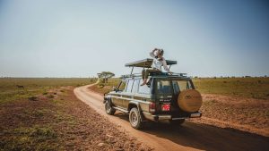 Rusizi 4x4 Hire Prices, Kigali Car Rental Insurance, Kigali Car Hire Savings, Rwanda SUV Hire Rebates, Kigali Car Rental Scams, Rwanda 4x4 Rental Quotes, Rwanda 4x4 Pricing Policy, Musanze Car Hire Prices, Kigali 4x4 Airport Deals, Rwanda Car Rental Costs, Rwanda 4x4 Rate Manual, Kigali 4x4 SUV Braking, Rwanda Car Rental: 4x4 Rooftop Tent Car hire Rwanda for Gorilla Trekking Rwanda Corporate Car Rental, Toyota Hilux Hire Rwanda, Toyota Fortuner Hire Rwanda, Minibus Safari Rwanda, Kigali Airport Car Hire – 4x4 Self-Drive Car hire Rwanda Affordable SUV Rental Rwanda – Kigali 4x4 Self Drive Car hire 4x4 Car Rental Rwanda – Best Kigali Self Drive Car hire Offers Hire car Kigali today, Rwanda Car Rental Interpretation, Group 1: Monthly Lease, NGO & Expat Focus (1-50) 1. Kigali Monthly Car Rental: Best NGO vehicle lease in Rwanda 2026 2. Rwanda Monthly SUV Hire: Best NGO vehicle rental in Kigali 2026 3. Kigali NGO Car Rental: Best monthly SUV lease in Rwanda for 2026 4. Rwanda NGO SUV Hire: Best monthly car lease in Kigali for 2026 5. Kigali Expat SUV Rental: Best monthly car hire in Rwanda for 2026 6. Rwanda Expat Car Hire: Best monthly SUV rental in Kigali for 2026 7. Kigali Business SUV Hire: Best corporate car rental in Rwanda 8. Rwanda Business Car Hire: Best corporate SUV rental in Kigali 9. Kigali Corporate SUV Hire: Best business car rental in Rwanda 10. Rwanda Corporate Car Hire: Best business SUV rental in Kigali 11. Kigali Long Term Rental: Best monthly SUV lease in Rwanda 2026 12. Rwanda Long Term Hire: Best monthly SUV rental in Kigali 2026 13. Kigali Monthly SUV Lease: Best NGO vehicle hire in Rwanda 2026 14. Rwanda Monthly SUV Rental: Best NGO vehicle hire in Kigali 2026 15. Kigali Expat Car Rental: Best monthly SUV lease in Rwanda 2026 16. Rwanda Expat SUV Hire: Best monthly car lease for Kigali NGO 17. Kigali Monthly Car Hire: Best NGO vehicle lease in Rwanda 2026 18. Rwanda Monthly SUV Hire: Best NGO vehicle rental in Kigali 2026 19. Kigali NGO SUV Rental: Best monthly car hire in Rwanda for 2026 20. Rwanda NGO Car Hire: Best monthly SUV rental in Kigali for 2026 21. Kigali Expat SUV Hire: Best monthly car rental in Rwanda for 2026 22. Rwanda Expat SUV Rental: Best monthly car hire in Kigali for 2026 23. Kigali Business Car Hire: Best corporate SUV rental in Rwanda 24. Rwanda Business SUV Hire: Best corporate car rental in Kigali 25. Kigali Corporate Car Hire: Best business SUV rental in Rwanda 26. Rwanda Corporate SUV Hire: Best business car rental in Kigali 27. Kigali Long Term Hire: Best monthly SUV rental in Rwanda 2026 28. Rwanda Long Term Rental: Best monthly SUV lease in Kigali 2026 29. Kigali Monthly SUV Hire: Best NGO vehicle lease in Rwanda 2026 30. Rwanda Monthly Car Lease: Best NGO vehicle rental in Kigali 2026 31. Kigali NGO Car Hire: Best monthly SUV rental in Rwanda for 2026 32. Rwanda NGO SUV Rental: Best monthly car hire in Kigali for 2026 33. Kigali Expat Car Hire: Best monthly SUV rental in Rwanda for 2026 34. Rwanda Expat SUV Hire: Best monthly car rental in Kigali for 2026 35. Kigali Business SUV Rental: Best corporate car hire in Rwanda 36. Rwanda Business SUV Rental: Best corporate car hire in Kigali 37. Kigali Corporate SUV Rental: Best business car hire in Rwanda 38. Rwanda Corporate SUV Rental: Best business car hire in Kigali 39. Kigali Long Term Lease: Best monthly SUV rental in Rwanda 2026 40. Rwanda Long Term Lease: Best monthly SUV rental in Kigali 2026 41. Kigali Monthly Car Rental: Best NGO vehicle lease in Rwanda 2026 42. Rwanda Monthly SUV Hire: Best NGO vehicle rental in Kigali 2026 43. Kigali NGO Car Rental: Best monthly SUV lease in Rwanda for 2026 44. Rwanda NGO SUV Hire: Best monthly car lease in Kigali for 2026 45. Kigali Expat SUV Rental: Best monthly car hire in Rwanda for 2026 46. Rwanda Expat Car Hire: Best monthly SUV rental in Kigali for 2026 47. Kigali Business SUV Hire: Best corporate car rental in Rwanda 48. Rwanda Business Car Hire: Best corporate SUV rental in Kigali 49. Kigali Corporate SUV Hire: Best business car rental in Rwanda 50. Rwanda Corporate Car Hire: Best business SUV rental in Kigali Group 2: Airport Transfers & Luxury Services (51-100) 1. Kigali Airport Car Rental: Best luxury SUV transfer in Rwanda 2. Rwanda Airport Car Hire: Best luxury SUV transfer in Kigali 3. Kigali Airport SUV Transfer: Best luxury car hire in Rwanda 4. Rwanda Airport SUV Hire: Best luxury car transfer in Kigali 5. Kigali Airport Car Hire: Best premium SUV transfer in Rwanda 6. Rwanda Airport SUV Rental: Best premium car hire in Kigali 2026 7. Kigali Luxury Car Rental: Best premium SUV transfer in Rwanda 8. Rwanda Luxury SUV Hire: Best premium car rental in Kigali 2026 9. Kigali Luxury SUV Transfer: Best premium car hire in Rwanda 2026 10. Rwanda Premium Car Hire: Best luxury SUV rental in Kigali 2026 11. Kigali Premium SUV Rental: Best luxury car hire in Rwanda 2026 12. Rwanda Premium SUV Hire: Best luxury car rental in Kigali 2026 13. Kigali Airport SUV Rental: Best luxury car transfer in Rwanda 14. Rwanda Airport Car Rental: Best luxury SUV transfer in Kigali 15. Kigali Airport SUV Transfer: Best luxury car hire in Rwanda 16. Rwanda Airport SUV Hire: Best luxury car transfer in Kigali 17. Kigali Airport Car Hire: Best premium SUV transfer in Rwanda 18. Rwanda Airport SUV Rental: Best premium car hire in Kigali 2026 19. Kigali Luxury Car Rental: Best premium SUV transfer in Rwanda 20. Rwanda Luxury SUV Hire: Best premium car rental in Kigali 2026 21. Kigali Luxury SUV Transfer: Best premium car hire in Rwanda 2026 22. Rwanda Premium Car Hire: Best luxury SUV rental in Kigali 2026 23. Kigali Premium SUV Rental: Best luxury car hire in Rwanda 2026 24. Rwanda Premium SUV Hire: Best luxury car rental in Kigali 2026 25. Kigali Airport SUV Rental: Best luxury car transfer in Rwanda 26. Rwanda Airport Car Rental: Best luxury SUV transfer in Kigali 27. Kigali Airport SUV Transfer: Best luxury car hire in Rwanda 28. Rwanda Airport SUV Hire: Best luxury car transfer in Kigali 29. Kigali Airport Car Hire: Best premium SUV transfer in Rwanda 30. Rwanda Airport SUV Rental: Best premium car hire in Kigali 2026 31. Kigali Luxury Car Rental: Best premium SUV transfer in Rwanda 32. Rwanda Luxury SUV Hire: Best premium car rental in Kigali 2026 33. Kigali Luxury SUV Transfer: Best premium car hire in Rwanda 2026 34. Rwanda Premium Car Hire: Best luxury SUV rental in Kigali 2026 35. Kigali Premium SUV Rental: Best luxury car hire in Rwanda 2026 36. Rwanda Premium SUV Hire: Best luxury car rental in Kigali 2026 37. Kigali Airport SUV Rental: Best luxury car transfer in Rwanda 38. Rwanda Airport Car Rental: Best luxury SUV transfer in Kigali 39. Kigali Airport SUV Transfer: Best luxury car hire in Rwanda 40. Rwanda Airport SUV Hire: Best luxury car transfer in Kigali 41. Kigali Airport Car Hire: Best premium SUV transfer in Rwanda 42. Rwanda Airport SUV Rental: Best premium car hire in Kigali 2026 43. Kigali Luxury Car Rental: Best premium SUV transfer in Rwanda 44. Rwanda Luxury SUV Hire: Best premium car rental in Kigali 2026 45. Kigali Luxury SUV Transfer: Best premium car hire in Rwanda 2026 46. Rwanda Premium Car Hire: Best luxury SUV rental in Kigali 2026 47. Kigali Premium SUV Rental: Best luxury car hire in Rwanda 2026 48. Rwanda Premium SUV Hire: Best luxury car rental in Kigali 2026 49. Kigali Airport SUV Rental: Best luxury car transfer in Rwanda 50. Rwanda Airport Car Rental: Best luxury SUV transfer in Kigali 51. Group 3: Specific Toyota & SUV Models (101-150) 52. Kigali Toyota Prado Hire: Best 4x4 safari rental in Rwanda 2026 53. Rwanda Toyota Prado Rental: Best 4x4 safari hire in Kigali 2026 54. Kigali Toyota RAV4 Hire: Best cheap SUV rental in Rwanda 2026 55. Rwanda Toyota RAV4 Rental: Best cheap SUV hire in Kigali 2026 56. Kigali Toyota V8 Rental: Luxury 4x4 safari car hire in Rwanda 57. Rwanda Toyota V8 Hire: Luxury 4x4 safari car rental in Kigali 58. Kigali Toyota Fortuner Hire: Best 4x4 SUV rental in Rwanda 2026 59. Rwanda Toyota Fortuner Rental: Best 4x4 SUV hire in Kigali 2026 60. Kigali Toyota Venza Hire: Best family SUV rental in Rwanda 2026 61. Rwanda Toyota Venza Rental: Best family SUV hire in Kigali 2026 62. Kigali Toyota Sienna Hire: Best family minivan rental in Rwanda 63. Rwanda Toyota Sienna Rental: Best family minivan hire in Kigali 64. Kigali Toyota Harrier Hire: Best 4x4 SUV rental in Rwanda 2026 65. Rwanda Toyota Harrier Rental: Best 4x4 SUV hire in Kigali 2026 66. Kigali Toyota TXL Hire: Best luxury 4x4 rental in Rwanda 2026 67. Rwanda Toyota TXL Rental: Best luxury 4x4 hire in Kigali 2026 68. Kigali Nissan Patrol Hire: Best 4x4 safari rental in Rwanda 2026 69. Rwanda Nissan Patrol Rental: Best 4x4 safari hire in Kigali 2026 70. Kigali Land Cruiser Hire: Best safari SUV rental in Rwanda 2026 71. Rwanda Land Cruiser Rental: Best safari SUV hire in Kigali 2026 72. Kigali Toyota Prado Hire: Best 4x4 safari rental in Rwanda 2026 73. Rwanda Toyota Prado Rental: Best 4x4 safari hire in Kigali 2026 74. Kigali Toyota RAV4 Hire: Best cheap SUV rental in Rwanda 2026 75. Rwanda Toyota RAV4 Rental: Best cheap SUV hire in Kigali 2026 76. Kigali Toyota V8 Rental: Luxury 4x4 safari car hire in Rwanda 77. Rwanda Toyota V8 Hire: Luxury 4x4 safari car rental in Kigali 78. Kigali Toyota Fortuner Hire: Best 4x4 SUV rental in Rwanda 2026 79. Rwanda Toyota Fortuner Rental: Best 4x4 SUV hire in Kigali 2026 80. Kigali Toyota Venza Hire: Best family SUV rental in Rwanda 2026 81. Rwanda Toyota Venza Rental: Best family SUV hire in Kigali 2026 82. Kigali Toyota Sienna Hire: Best family minivan rental in Rwanda 83. Rwanda Toyota Sienna Rental: Best family minivan hire in Kigali 84. Kigali Toyota Harrier Hire: Best 4x4 SUV rental in Rwanda 2026 85. Rwanda Toyota Harrier Rental: Best 4x4 SUV hire in Kigali 2026 86. Kigali Toyota TXL Hire: Best luxury 4x4 rental in Rwanda 2026 87. Rwanda Toyota TXL Rental: Best luxury 4x4 hire in Kigali 2026 88. Kigali Nissan Patrol Hire: Best 4x4 safari rental in Rwanda 2026 89. Rwanda Nissan Patrol Rental: Best 4x4 safari hire in Kigali 2026 90. Kigali Land Cruiser Hire: Best safari SUV rental in Rwanda 2026 91. Rwanda Land Cruiser Rental: Best safari SUV hire in Kigali 2026 92. Kigali Toyota Prado Hire: Best 4x4 safari rental in Rwanda 2026 93. Rwanda Toyota Prado Rental: Best 4x4 safari hire in Kigali 2026 94. Kigali Toyota RAV4 Hire: Best cheap SUV rental in Rwanda 2026 95. Rwanda Toyota RAV4 Rental: Best cheap SUV hire in Kigali 2026 96. Kigali Toyota V8 Rental: Luxury 4x4 safari car hire in Rwanda 97. Rwanda Toyota V8 Hire: Luxury 4x4 safari car rental in Kigali 98. Kigali Toyota Fortuner Hire: Best 4x4 SUV rental in Rwanda 2026 99. Rwanda Toyota Fortuner Rental: Best 4x4 SUV hire in Kigali 2026 100. Kigali Toyota Venza Hire: Best family SUV rental in Rwanda 2026 101. Rwanda Toyota Venza Rental: Best family SUV hire in Kigali 2026 Group 4: Chauffeur, Driver & National Park Routes (151-225) 1. Kigali Chauffeur Car Hire: Best professional driver in Rwanda 2. Rwanda Chauffeur Car Rental: Best professional driver in Kigali 3. Kigali Car Hire Driver: Best professional safari guide in Rwanda 4. Rwanda Car Rental Driver: Best professional safari guide in Kigali 5. Kigali Akagera SUV Hire: Best 4x4 safari rental in Rwanda 2026 6. Rwanda Akagera SUV Rental: Best 4x4 safari hire in Kigali 2026 7. Kigali Nyungwe SUV Hire: Best 4x4 safari rental in Rwanda 2026 8. Rwanda Nyungwe SUV Rental: Best 4x4 safari hire in Kigali 2026 9. Kigali Volcano SUV Hire: Best 4x4 safari rental in Rwanda 2026 10. Rwanda Volcano SUV Rental: Best 4x4 safari hire in Kigali 2026 11. Kigali Lake Kivu Hire: Best SUV road trip rental in Rwanda 2026 12. Rwanda Lake Kivu Rental: Best SUV road trip hire in Kigali 2026 13. Kigali Chauffeur Car Hire: Best professional driver in Rwanda 14. Rwanda Chauffeur Car Rental: Best professional driver in Kigali 15. Kigali Car Hire Driver: Best professional safari guide in Rwanda 16. Rwanda Car Rental Driver: Best professional safari guide in Kigali 17. Kigali Akagera SUV Hire: Best 4x4 safari rental in Rwanda 2026 18. Rwanda Akagera SUV Rental: Best 4x4 safari hire in Kigali 2026 19. Kigali Nyungwe SUV Hire: Best 4x4 safari rental in Rwanda 2026 20. Rwanda Nyungwe SUV Rental: Best 4x4 safari hire in Kigali 2026 21. Kigali Volcano SUV Hire: Best 4x4 safari rental in Rwanda 2026 22. Rwanda Volcano SUV Rental: Best 4x4 safari hire in Kigali 2026 23. Kigali Lake Kivu Hire: Best SUV road trip rental in Rwanda 2026 24. Rwanda Lake Kivu Rental: Best SUV road trip hire in Kigali 2026 25. Kigali Chauffeur Car Hire: Best professional driver in Rwanda 26. Rwanda Chauffeur Car Rental: Best professional driver in Kigali 27. Kigali Car Hire Driver: Best professional safari guide in Rwanda 28. Rwanda Car Rental Driver: Best professional safari guide in Kigali 29. Kigali Akagera SUV Hire: Best 4x4 safari rental in Rwanda 2026 30. Rwanda Akagera SUV Rental: Best 4x4 safari hire in Kigali 2026 31. Kigali Nyungwe SUV Hire: Best 4x4 safari rental in Rwanda 2026 32. Rwanda Nyungwe SUV Rental: Best 4x4 safari hire in Kigali 2026 33. Kigali Volcano SUV Hire: Best 4x4 safari rental in Rwanda 2026 34. Rwanda Volcano SUV Rental: Best 4x4 safari hire in Kigali 2026 35. Kigali Lake Kivu Hire: Best SUV road trip rental in Rwanda 2026 36. Rwanda Lake Kivu Rental: Best SUV road trip hire in Kigali 2026 37. Kigali Chauffeur Car Hire: Best professional driver in Rwanda 38. Rwanda Chauffeur Car Rental: Best professional driver in Kigali 39. Kigali Car Hire Driver: Best professional safari guide in Rwanda 40. Rwanda Car Rental Driver: Best professional safari guide in Kigali 41. Kigali Akagera SUV Hire: Best 4x4 safari rental in Rwanda 2026 42. Rwanda Akagera SUV Rental: Best 4x4 safari hire in Kigali 2026 43. Kigali Nyungwe SUV Hire: Best 4x4 safari rental in Rwanda 2026 44. Rwanda Nyungwe SUV Rental: Best 4x4 safari hire in Kigali 2026 45. Kigali Volcano SUV Hire: Best 4x4 safari rental in Rwanda 2026 46. Rwanda Volcano SUV Rental: Best 4x4 safari hire in Kigali 2026 47. Kigali Lake Kivu Hire: Best SUV road trip rental in Rwanda 2026 48. Rwanda Lake Kivu Rental: Best SUV road trip hire in Kigali 2026 49. Kigali Chauffeur Car Hire: Best professional driver in Rwanda 50. Rwanda Chauffeur Car Rental: Best professional driver in Kigali 51. Kigali Car Hire Driver: Best professional safari guide in Rwanda 52. Rwanda Car Rental Driver: Best professional safari guide in Kigali 53. Kigali Akagera SUV Hire: Best 4x4 safari rental in Rwanda 2026 54. Rwanda Akagera SUV Rental: Best 4x4 safari hire in Kigali 2026 55. Kigali Nyungwe SUV Hire: Best 4x4 safari rental in Rwanda 2026 56. Rwanda Nyungwe SUV Rental: Best 4x4 safari hire in Kigali 2026 57. Kigali Volcano SUV Hire: Best 4x4 safari rental in Rwanda 2026 58. Rwanda Volcano SUV Rental: Best 4x4 safari hire in Kigali 2026 59. Kigali Lake Kivu Hire: Best SUV road trip rental in Rwanda 2026 60. Rwanda Lake Kivu Rental: Best SUV road trip hire in Kigali 2026 61. Kigali Chauffeur Car Hire: Best professional driver in Rwanda 62. Rwanda Chauffeur Car Rental: Best professional driver in Kigali 63. Kigali Car Hire Driver: Best professional safari guide in Rwanda 64. Rwanda Car Rental Driver: Best professional safari guide in Kigali 65. Kigali Akagera SUV Hire: Best 4x4 safari rental in Rwanda 2026 66. Rwanda Akagera SUV Rental: Best 4x4 safari hire in Kigali 2026 67. Kigali Nyungwe SUV Hire: Best 4x4 safari rental in Rwanda 2026 68. Rwanda Nyungwe SUV Rental: Best 4x4 safari hire in Kigali 2026 69. Kigali Volcano SUV Hire: Best 4x4 safari rental in Rwanda 2026 70. Rwanda Volcano SUV Rental: Best 4x4 safari hire in Kigali 2026 71. Kigali Lake Kivu Hire: Best SUV road trip rental in Rwanda 2026 72. Rwanda Lake Kivu Rental: Best SUV road trip hire in Kigali 2026 73. Kigali Chauffeur Car Hire: Best professional driver in Rwanda 74. Rwanda Chauffeur Car Rental: Best professional driver in Kigali 75. Kigali Car Hire Driver: Best professional safari guide in Rwanda Group 5: Wedding, Camping & Cross-Border (226-300) 76. Kigali Wedding Car Hire: Luxury SUV rental for events in Rwanda 77. Rwanda Wedding Car Rental: Luxury SUV hire for events in Kigali 78. Kigali 4x4 Camping Hire: Best SUV with rooftop tent in Rwanda 79. Rwanda 4x4 Camping Rental: Best SUV with rooftop tent in Kigali 80. Kigali Rooftop Tent Hire: Best 4x4 camping rental in Rwanda 2026 81. Rwanda Rooftop Tent Rental: Best 4x4 camping hire in Kigali 2026 82. Kigali Cross Border Hire: Best 4x4 for Uganda tours in Rwanda 83. Rwanda Cross Border Rental: Best 4x4 for Uganda tours in Kigali 84. Kigali Uganda Car Hire: Best 4x4 safari rental for cross border 85. Rwanda Uganda Car Rental: Best 4x4 safari hire for cross border 86. Kigali Budget SUV Hire: Best cheap 4x4 car rental in Rwanda 2026 87. Rwanda Budget SUV Rental: Best cheap 4x4 car hire in Kigali 2026 88. Kigali Coaster Bus Hire: Best group transport in Rwanda for 2026 89. Rwanda Coaster Bus Rental: Best group transport in Kigali for 2026 90. Kigali Safari Van Hire: Best minibus for group tours in Rwanda 91. Rwanda Safari Van Rental: Best minibus for group tours in Kigali 92. Kigali Wedding Car Hire: Luxury SUV rental for events in Rwanda 93. Rwanda Wedding Car Rental: Luxury SUV hire for events in Kigali 94. Kigali 4x4 Camping Hire: Best SUV with rooftop tent in Rwanda 95. Rwanda 4x4 Camping Rental: Best SUV with rooftop tent in Kigali 96. Kigali Rooftop Tent Hire: Best 4x4 camping rental in Rwanda 2026 97. Rwanda Rooftop Tent Rental: Best 4x4 camping hire in Kigali 2026 98. Kigali Cross Border Hire: Best 4x4 for Uganda tours in Rwanda 99. Rwanda Cross Border Rental: Best 4x4 for Uganda tours in Kigali 100. Kigali Uganda Car Hire: Best 4x4 safari rental for cross border 101. Rwanda Uganda Car Rental: Best 4x4 safari hire for cross border 102. Kigali Budget SUV Hire: Best cheap 4x4 car rental in Rwanda 2026 103. Rwanda Budget SUV Rental: Best cheap 4x4 car hire in Kigali 2026 104. Kigali Coaster Bus Hire: Best group transport in Rwanda for 2026 105. Rwanda Coaster Bus Rental: Best group transport in Kigali for 2026 106. Kigali Safari Van Hire: Best minibus for group tours in Rwanda 107. Rwanda Safari Van Rental: Best minibus for group tours in Kigali 108. Kigali Wedding Car Hire: Luxury SUV rental for events in Rwanda 109. Rwanda Wedding Car Rental: Luxury SUV hire for events in Kigali 110. Kigali 4x4 Camping Hire: Best SUV with rooftop tent in Rwanda 111. Rwanda 4x4 Camping Rental: Best SUV with rooftop tent in Kigali 112. Kigali Rooftop Tent Hire: Best 4x4 camping rental in Rwanda 2026 113. Rwanda Rooftop Tent Rental: Best 4x4 camping hire in Kigali 2026 114. Kigali Cross Border Hire: Best 4x4 for Uganda tours in Rwanda 115. Rwanda Cross Border Rental: Best 4x4 for Uganda tours in Kigali 116. Kigali Uganda Car Hire: Best 4x4 safari rental for cross border 117. Rwanda Uganda Car Rental: Best 4x4 safari hire for cross border 118. Kigali Budget SUV Hire: Best cheap 4x4 car rental in Rwanda 2026 119. Rwanda Budget SUV Rental: Best cheap 4x4 car hire in Kigali 2026 120. Kigali Coaster Bus Hire: Best group transport in Rwanda for 2026 121. Rwanda Coaster Bus Rental: Best group transport in Kigali for 2026 122. Kigali Safari Van Hire: Best minibus for group tours in Rwanda 123. Rwanda Safari Van Rental: Best minibus for group tours in Kigali 124. Kigali Wedding Car Hire: Luxury SUV rental for events in Rwanda 125. Rwanda Wedding Car Rental: Luxury SUV hire for events in Kigali 126. Kigali 4x4 Camping Hire: Best SUV with rooftop tent in Rwanda 127. Rwanda 4x4 Camping Rental: Best SUV with rooftop tent in Kigali 128. Kigali Rooftop Tent Hire: Best 4x4 camping rental in Rwanda 2026 129. Rwanda Rooftop Tent Rental: Best 4x4 camping hire in Kigali 2026 130. Kigali Cross Border Hire: Best 4x4 for Uganda tours in Rwanda 131. Rwanda Cross Border Rental: Best 4x4 for Uganda tours in Kigali 132. Kigali Uganda Car Hire: Best 4x4 safari rental for cross border 133. Rwanda Uganda Car Rental: Best 4x4 safari hire for cross border 134. Kigali Budget SUV Hire: Best cheap 4x4 car rental in Rwanda 2026 135. Rwanda Budget SUV Rental: Best cheap 4x4 car hire in Kigali 2026 136. Kigali Coaster Bus Hire: Best group transport in Rwanda for 2026 137. Rwanda Coaster Bus Rental: Best group transport in Kigali for 2026 138. Kigali Safari Van Hire: Best minibus for group tours in Rwanda 139. Rwanda Safari Van Rental: Best minibus for group tours in Kigali 140. Kigali Wedding Car Hire: Luxury SUV rental for events in Rwanda 141. Rwanda Wedding Car Rental: Luxury SUV hire for events in Kigali 142. Kigali 4x4 Camping Hire: Best SUV with rooftop tent in Rwanda 143. Rwanda 4x4 Camping Rental: Best SUV with rooftop tent in Kigali 144. Kigali Rooftop Tent Hire: Best 4x4 camping rental in Rwanda 2026 145. Rwanda Rooftop Tent Rental: Best 4x4 camping hire in Kigali 2026 146. Kigali Cross Border Hire: Best 4x4 for Uganda tours in Rwanda 147. Rwanda Cross Border Rental: Best 4x4 for Uganda tours in Kigali 148. Kigali Uganda Car Hire: Best 4x4 safari rental for cross border 149. Rwanda Uganda Car Rental: Best 4x4 safari hire for cross border 150. Kigali Budget SUV Hire: Best cheap 4x4 car rental in Rwanda 2026 Rwanda NGO SUV Hire: Best monthly car lease in Kigali for 2026 Car hire in Rwanda: Best SUV 4x4 Car rental hire in Rwanda Car rental in Rwanda: Best 4x4 safari Car rental in Rwanda Car rental in Rwanda: cheap 4x4 safari car rental in RwandaCar rental in Rwanda: cheap 4x4 safari car rental in Rwanda Tourist Car Rental Rwanda: Visitor Friendly Car hire in KigaliKigali City Car Rental: Rwanda Car Hire Tips – How to Rent a Car Cheaply & Safely 4x4 Rwanda Car Rental: Safari Car rental & Rooftop Tent car Hire Self Drive in Rwanda: Kwita Izina with Minibus Car Hire in Rwanda Cheapest Car hire in Rwanda :Car rental in Rwanda Price per day 4x4 Car Rental Rwanda: Safari Ready Kigali Self Drive Car rental Rwanda Sales car Rentals - Best Long-Distance Car rental in Rwanda Manual vs Automatic Car rental –Rwanda Car Rental Availability Rwanda Car rental Subscription - Monthly Car Rental Alternatives Rwanda Car rental Trips - Best Car rental for Group Tours in Kigali Rwanda VIP Car rental – Luxury Rwanda car Rental Options Kigali Airport Car rental – Rwanda Car rental services Low Cost Self Drive Rwanda - Saving Tips on Car rental in Rwanda Budget Car Hire Rwanda - How to Rent a Car Under $50 Daily Car Rental in Rwanda: Complete Self-Drive Car hire Guide Self-Drive car rental Rwanda Perfect car rental for you